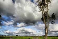 多多28官网:篮球——WCBA季后赛:四川蜀道远达胜黑龙江上东.