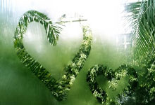 多多28官网:意甲争冠重回国际米兰和那不勒斯争两强相争格局.