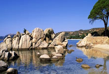 多多28官网：[德甲]第18轮：莱比锡VS勒沃库森.